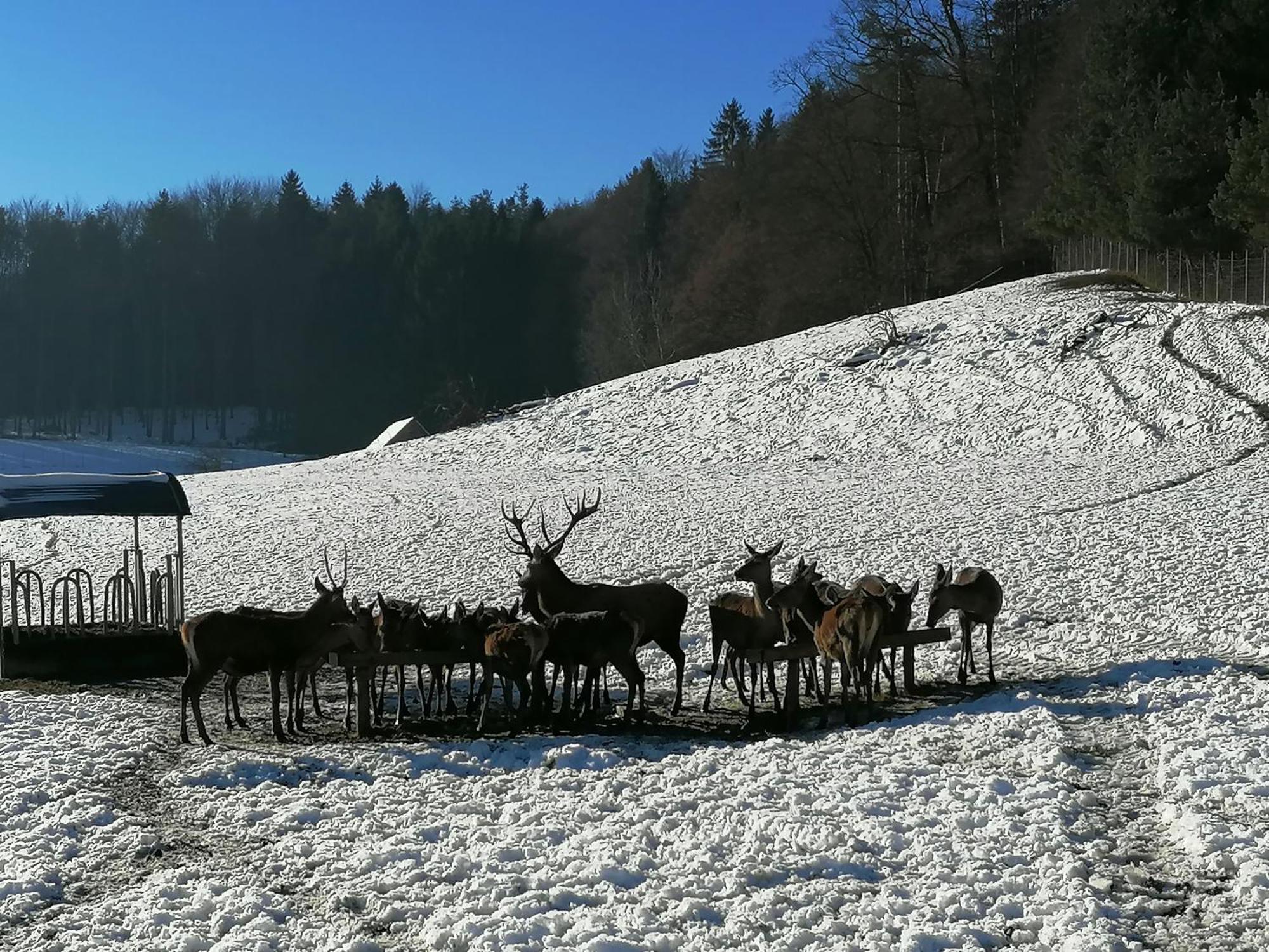 Вилла Am Jaukhof Familie Stiendl Neudorf im Sausal Экстерьер фото